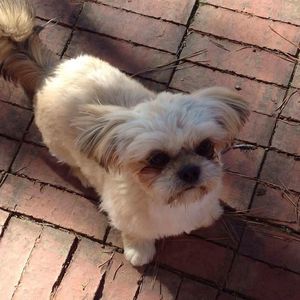 Meet your Posher, Joann